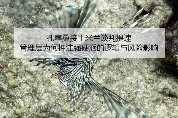 kong-sai-sang-jie-shou-mi-lan-tan-pan-ti-su-guan-li-ceng-wei-he-ya-zhu-qiang-ying-pai-de-luo-ji-yu-feng-xian-ying-xiang-1-404.jpg